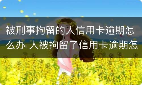 被刑事拘留的人信用卡逾期怎么办 人被拘留了信用卡逾期怎么办