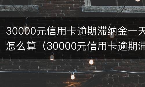 30000元信用卡逾期滞纳金一天怎么算（30000元信用卡逾期滞纳金一天怎么算呢）
