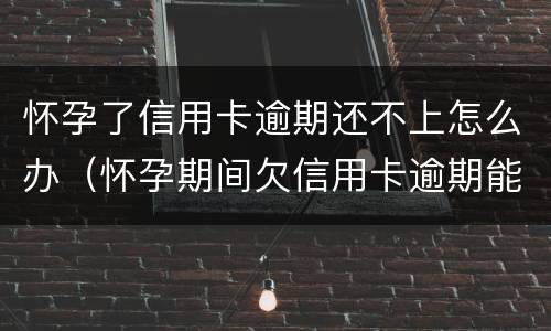 怀孕了信用卡逾期还不上怎么办（怀孕期间欠信用卡逾期能怎么样）