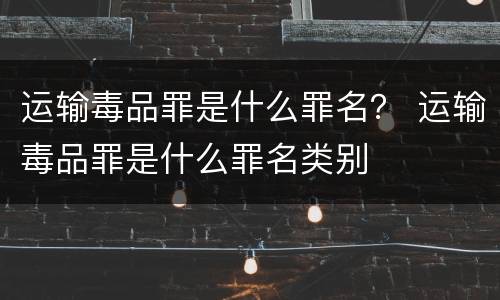 运输毒品罪是什么罪名？ 运输毒品罪是什么罪名类别