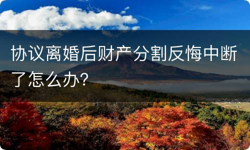 协议离婚后财产分割反悔中断了怎么办？