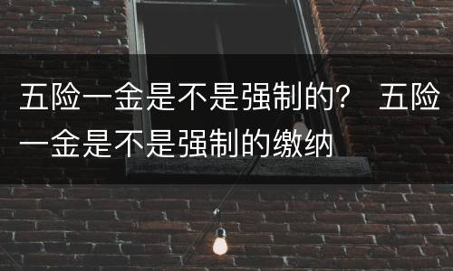五险一金是不是强制的？ 五险一金是不是强制的缴纳