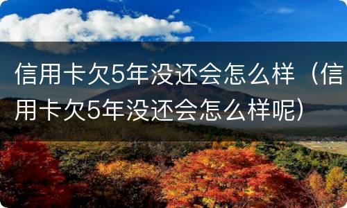信用卡欠5年没还会怎么样（信用卡欠5年没还会怎么样呢）
