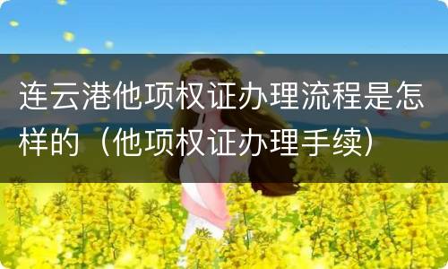 连云港他项权证办理流程是怎样的（他项权证办理手续）