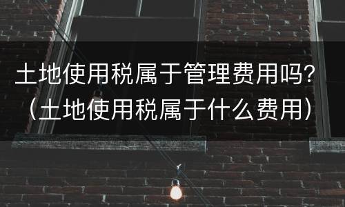 土地使用税属于管理费用吗？（土地使用税属于什么费用）