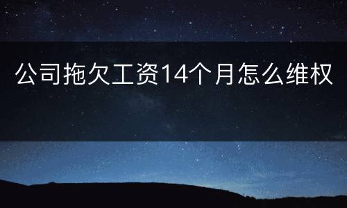 公司拖欠工资14个月怎么维权