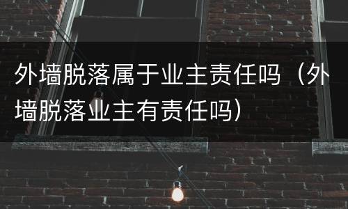 外墙脱落属于业主责任吗（外墙脱落业主有责任吗）