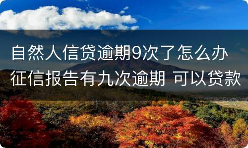 自然人信贷逾期9次了怎么办 征信报告有九次逾期 可以贷款吗