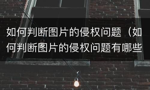如何判断图片的侵权问题（如何判断图片的侵权问题有哪些）