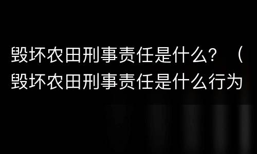 毁坏农田刑事责任是什么？（毁坏农田刑事责任是什么行为）