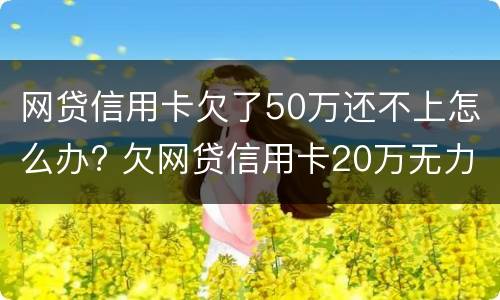 网贷信用卡欠了50万还不上怎么办? 欠网贷信用卡20万无力偿还怎么办