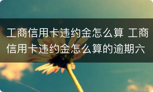 工商信用卡违约金怎么算 工商信用卡违约金怎么算的逾期六个月5000