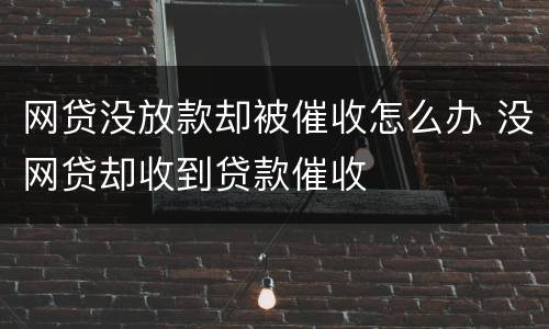网贷没放款却被催收怎么办 没网贷却收到贷款催收