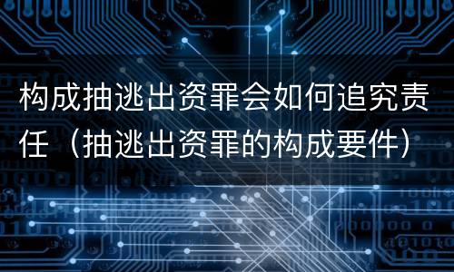 构成抽逃出资罪会如何追究责任（抽逃出资罪的构成要件）