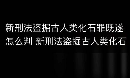 新刑法盗掘古人类化石罪既遂怎么判 新刑法盗掘古人类化石罪既遂怎么判
