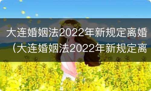 大连婚姻法2022年新规定离婚（大连婚姻法2022年新规定离婚财产分割）