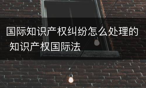 国际知识产权纠纷怎么处理的 知识产权国际法
