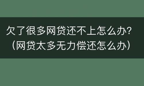 欠了很多网贷还不上怎么办？（网贷太多无力偿还怎么办）