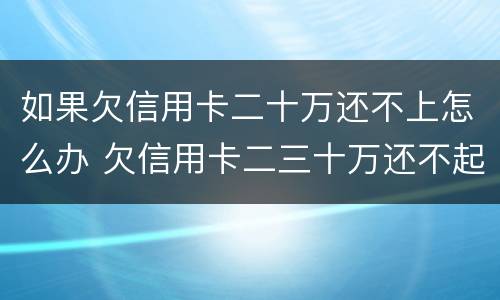 如果欠信用卡二十万还不上怎么办 欠信用卡二三十万还不起怎么办