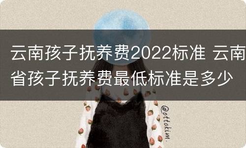云南孩子抚养费2022标准 云南省孩子抚养费最低标准是多少