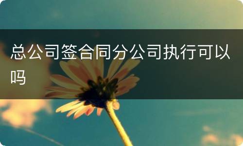 总公司签合同分公司执行可以吗