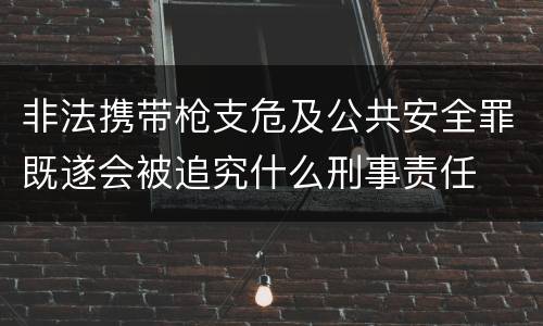 非法携带枪支危及公共安全罪既遂会被追究什么刑事责任