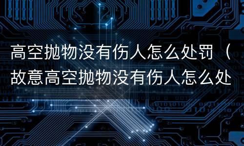 高空抛物没有伤人怎么处罚（故意高空抛物没有伤人怎么处罚）