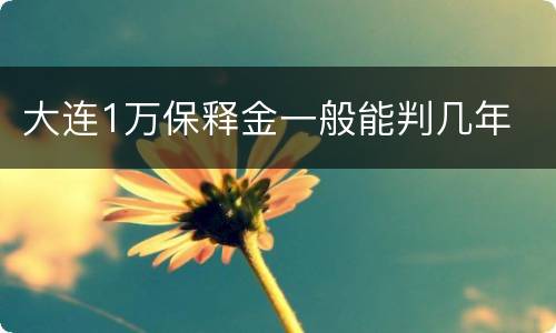 大连1万保释金一般能判几年