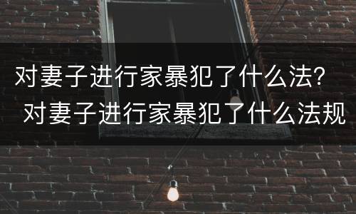 对妻子进行家暴犯了什么法？ 对妻子进行家暴犯了什么法规