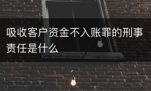 吸收客户资金不入账罪的刑事责任是什么