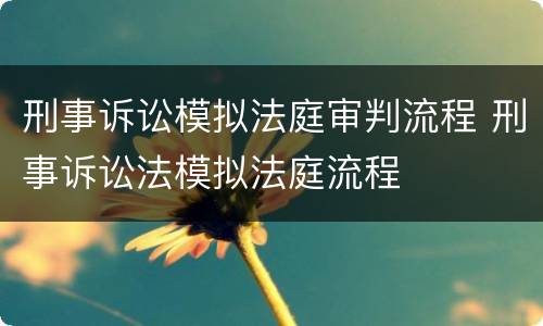 刑事诉讼模拟法庭审判流程 刑事诉讼法模拟法庭流程