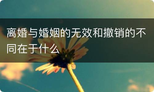 离婚与婚姻的无效和撤销的不同在于什么