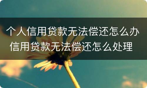 个人信用贷款无法偿还怎么办 信用贷款无法偿还怎么处理