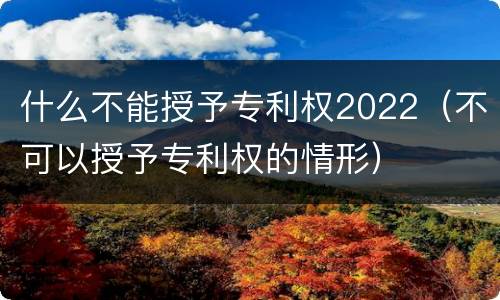 什么不能授予专利权2022（不可以授予专利权的情形）