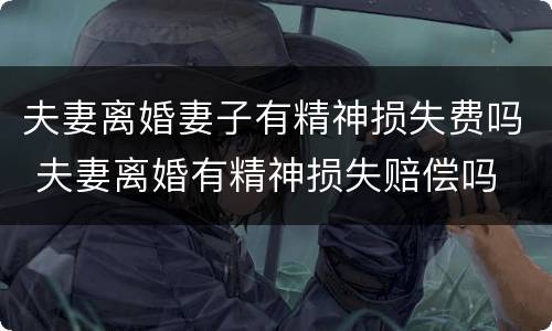 夫妻离婚妻子有精神损失费吗 夫妻离婚有精神损失赔偿吗