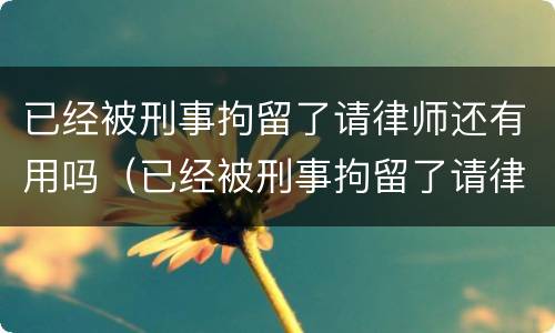 已经被刑事拘留了请律师还有用吗（已经被刑事拘留了请律师还有用吗多少钱）