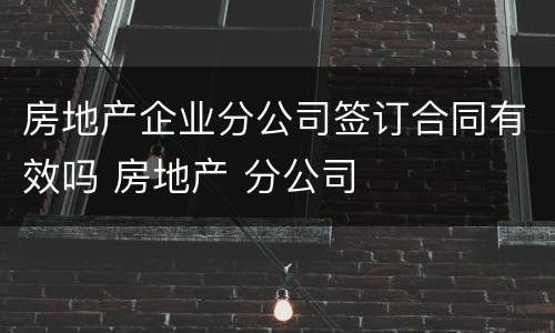 房地产企业分公司签订合同有效吗 房地产 分公司
