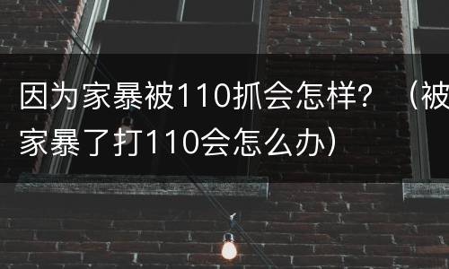 因为家暴被110抓会怎样？（被家暴了打110会怎么办）
