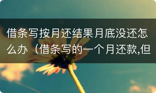 借条写按月还结果月底没还怎么办（借条写的一个月还款,但是到期没还）