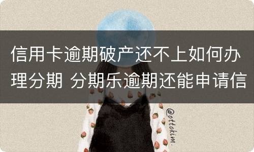 信用卡逾期破产还不上如何办理分期 分期乐逾期还能申请信用卡么