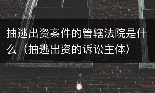 抽逃出资案件的管辖法院是什么（抽逃出资的诉讼主体）