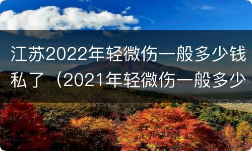 江苏2022年轻微伤一般多少钱私了（2021年轻微伤一般多少钱私了）