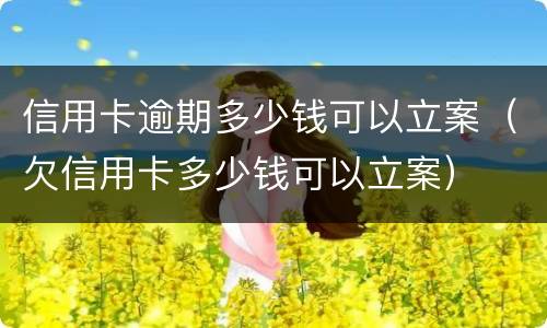 信用卡逾期多少钱可以立案（欠信用卡多少钱可以立案）