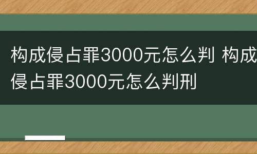 构成侵占罪3000元怎么判 构成侵占罪3000元怎么判刑