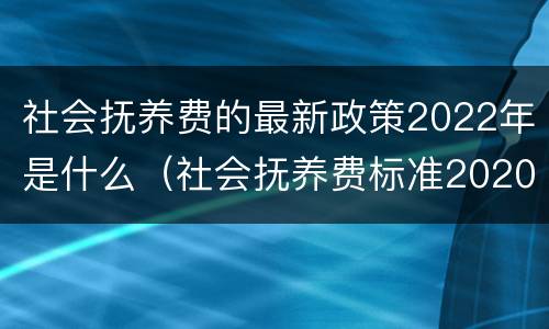社会抚养费的最新政策2022年是什么（社会抚养费标准2020）