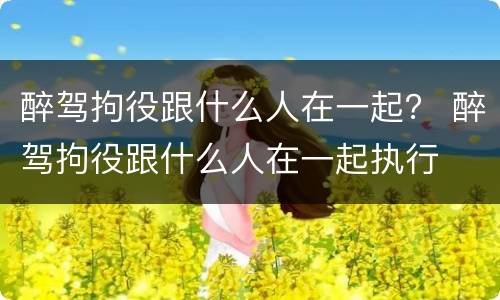 醉驾拘役跟什么人在一起？ 醉驾拘役跟什么人在一起执行