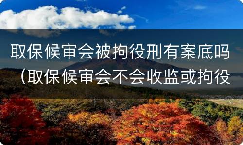取保候审会被拘役刑有案底吗（取保候审会不会收监或拘役）