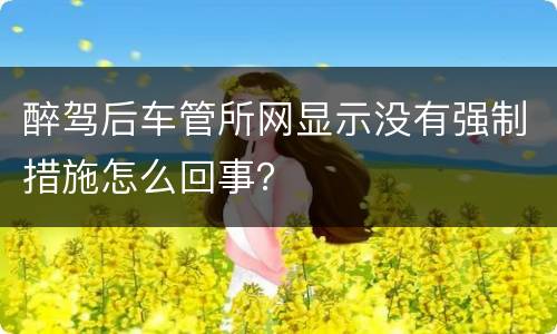 醉驾后车管所网显示没有强制措施怎么回事？