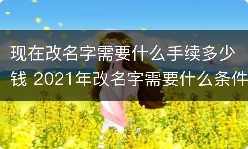 现在改名字需要什么手续多少钱 2021年改名字需要什么条件
