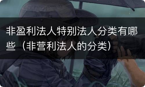 非盈利法人特别法人分类有哪些（非营利法人的分类）